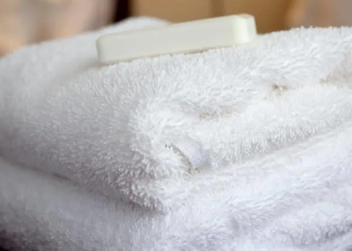 Mustela By Interhome Chalet Nendaz